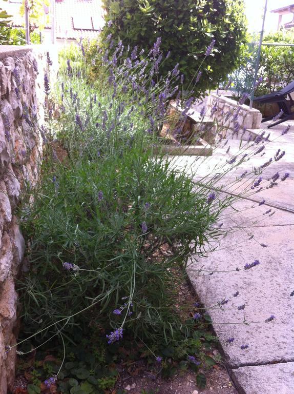 Apartments Katja Mali Losinj Exterior photo